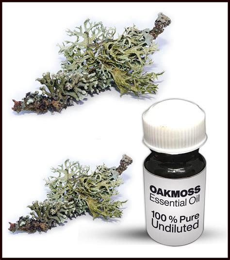 green oakmoss scent.